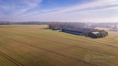 Campo En Venta - Rocha