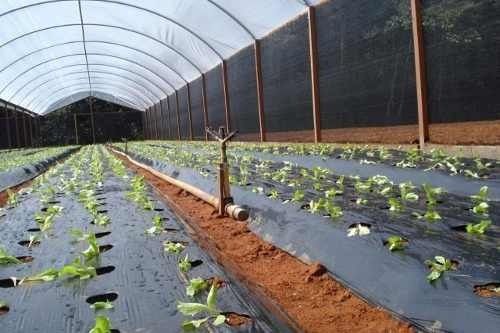 Tela Sombrite Preto 50% 2x10m E Brinde