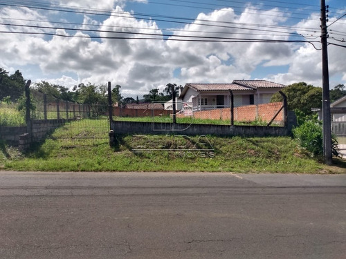 Imagem 3 de 7 de Terreno - Mina Do Mato - Ref: 30647 - V-30645