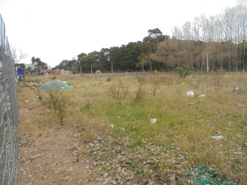 Terreno En Venta En San Bernardo