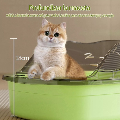Arenero Gato Extension Anti Derrame Pala Caja Extra Grande