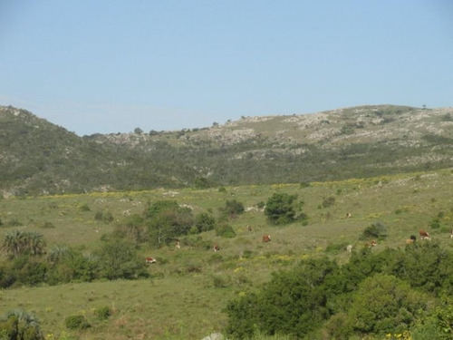 Campo En Venta En Las Cañas