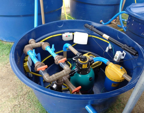Produção De Tilapia Em Caixa D'agua (c/ Consultoria)