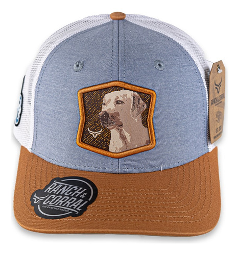 Gorra Hombre Ranch&corral Rcdb1 Labrador Golden