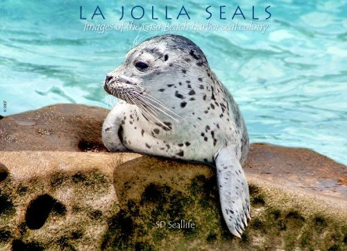 La Jolla Seals Images Of The Casa Beach Harbor Seal Colony