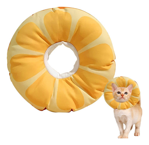 Cono De Gato Collar Isabelino A Prueba De Para Perros Y Gato