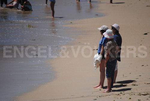 Terreno En Algarrobo