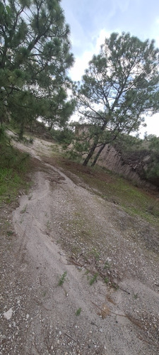 Imagen 7 de 14 de Se Vende. Terreno En Residencial Campestre El Roble. 524 Mts.2. Rumbo Ameca. A 1 Minuto Del Balneario Las Tortugas. Vista A La Primavera. Negociamos.
