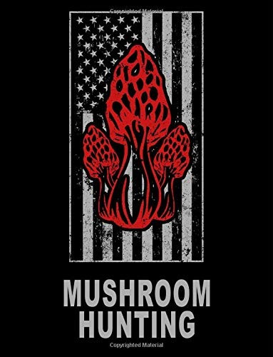 American Usa Mushroom Huntingmorel Mushrooms Wild Morel Mush