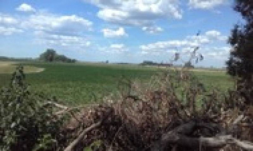 Imagen 8 de 14 de Venta Campo Bragado 160 Has