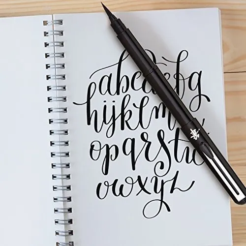 Pentel Arts Pocket Brush Pen Incluye 2 Recargas De Tinta Neg