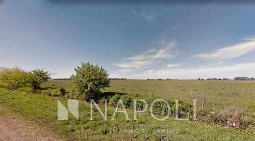 Venta De 30 Hectáreas Zona Alejandro Korn