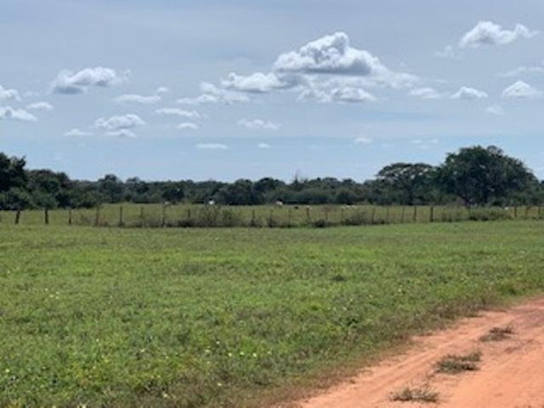 Imagen 7 de 23 de Venta De Finca Edo. Guarico, Pao Los Dos Caminos 1082 Hectáreas