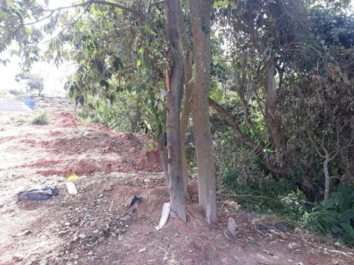 Imagem 5 de 12 de Terreno À Venda, 713 M² Por R$ 110.000,00 - San Fernando Park - Cotia/sp - Te0606