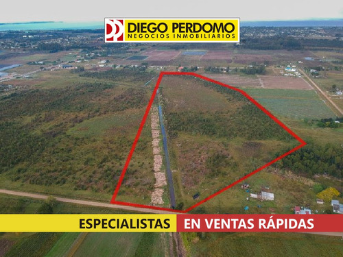 Predio En Venta De 87.224m² . Ciudad Del Plata