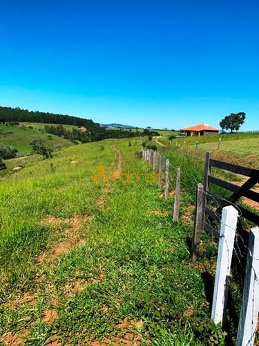 Imagem 4 de 16 de Rural Chacara - 234221-v
