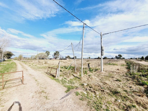 Imagen 15 de 24 de Venta De Campo De 2 Hectáreas En Guernica