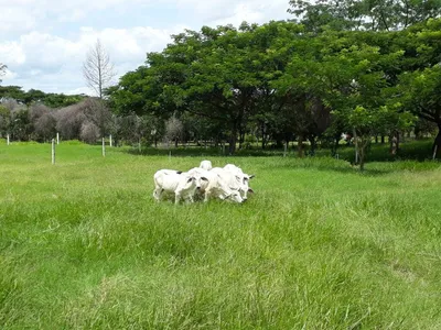 Hacienda-Finca en venta