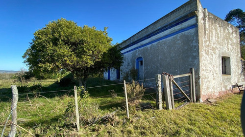 Imagen 16 de 30 de Se Vende Campo De 77 Has En Maldonado. A Pocos Km De Aiguá En Zona De Ruta 39. Ubicación Privilegiada!