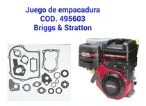 Comprar Repuestos Para Motores A Gasolina Briggs & Stratton Y Otro 