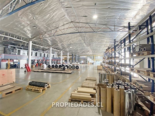 Imagen 8 de 18 de Bodega En San Bernardo