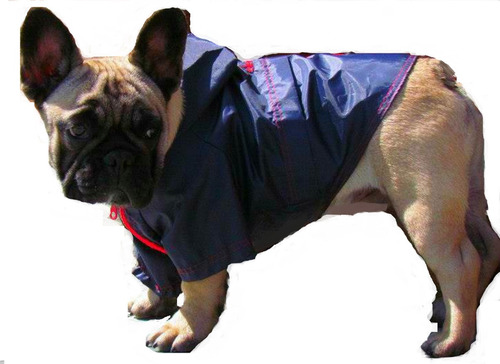 Piloto De Lluvia Para Perro Rompeviento Medianos Chicos