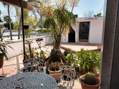 Renta Casa Amueblada Santiago De La Peña Orilla Del Rio Tuxpan Veracruz