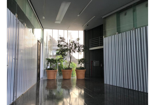Local Comercial Renta, Col. Contadero
