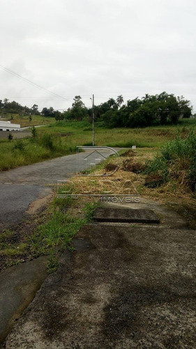 Imagem 2 de 9 de Terreno - Mina Do Mato - Ref: 32979 - V-32976