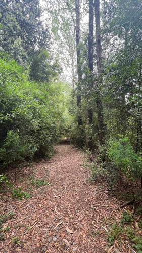 Oportunidad Gran Terreno Río Calle Calle (75380)