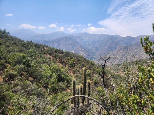 El Arrayan (100810)