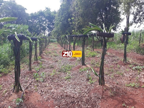 Imagem 11 de 18 de Sitio Para Venda Em Bauru Boracéia - Na Z10 Imóveis - Indaiatuba /sp - St00209 - 69350414