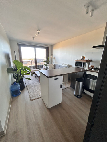 Departamento Nuevo Amoblado En Arriendo (104273)