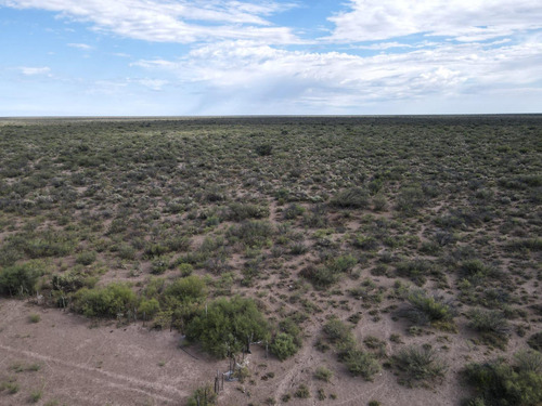 Campo En Venta En Las Catitas, Santa Rosa, Mendoza