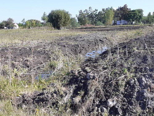Terreno - Nueva Palmira