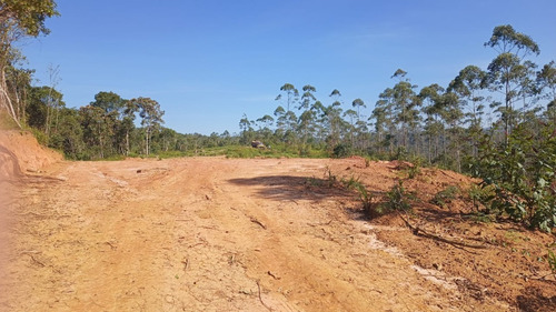 Imagem 14 de 25 de 01- Terrenos Em Condomínio Na Divisa De Suzano E Mogi Das Cruzes Com Procedência !