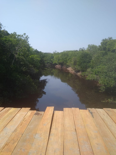 Fazenda 500 Alqueires (1210 Hectares), Juara - Mt