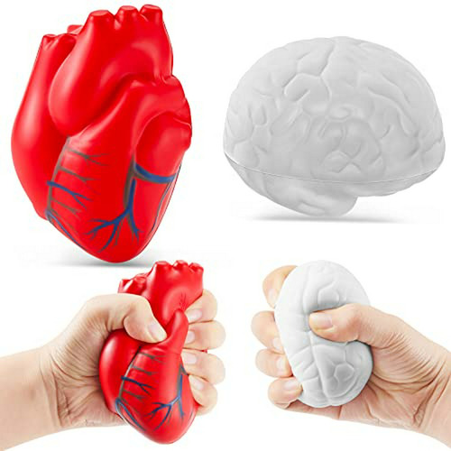 Set De Juguetes Antiestrés De Anatomía 2 Piezas Bolas Antiestrés Con Forma De Corazón Y Cerebro Para Aliviar Estré