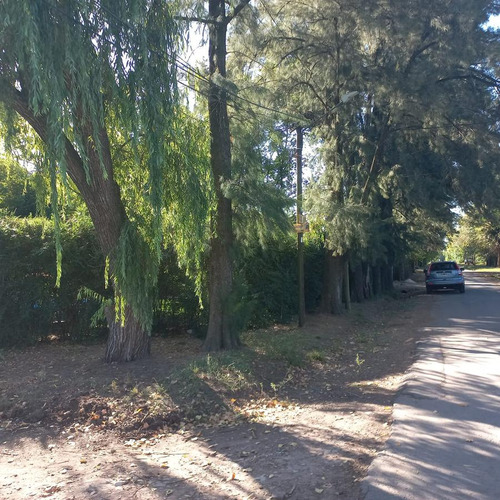 Vmaffia Vende Casa En Barrio Parque Pellegrini 2 Ideal Emprendimiento Habitacional