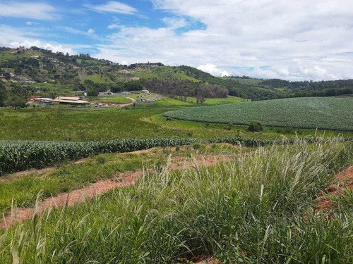Imagem 12 de 13 de W20-realize Seu Sonho Em Atibaia Preços Baixos!!!