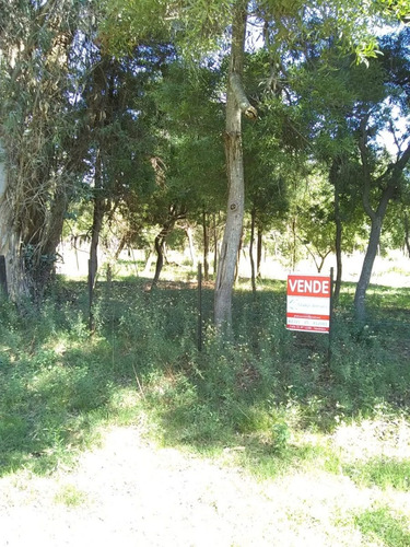 Imagen 2 de 7 de 4.92 Hectáreas(las Tahonas, Partido De Punta Indio).