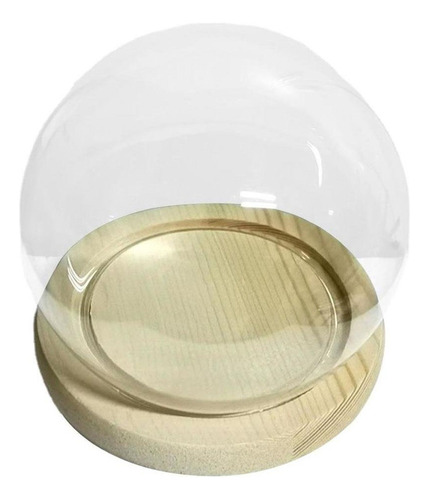 Cúpula De Cristal Redonda Decorativa Cloche Planta De 12 Cm