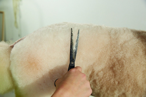 Tesoura Reta Andis Professional Para Cuidar De Cães E Gatos