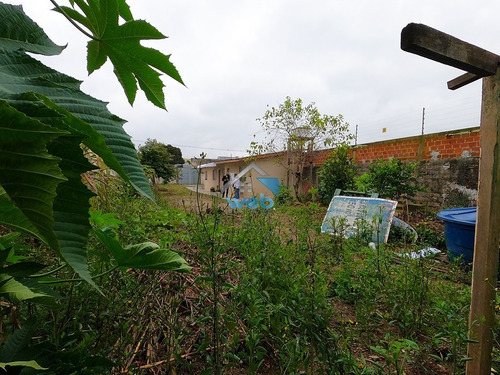 Imagem 21 de 26 de Terreno Com 550m² À Venda No Bairro Cajuru, Excelente Para Moradia Ou Investimento, Próximo A Rua Dos Ferroviários. - Te00160 - 71151119