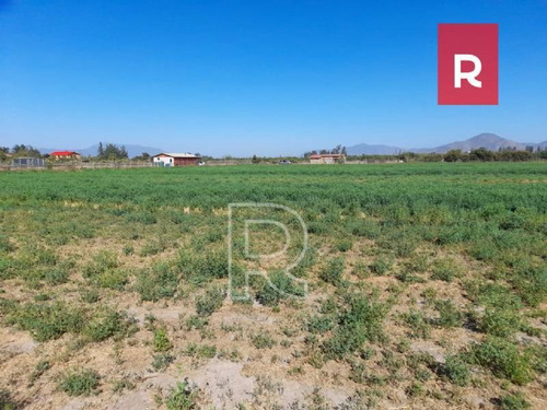 Imagen 8 de 10 de Terreno 5000 M2/ Calle Los Perros/ Talagante