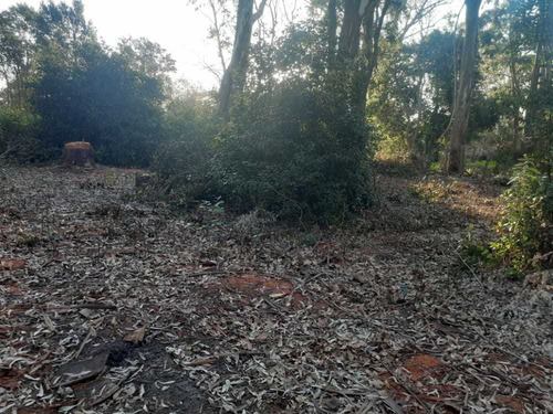 Lote Sobre Ruta 11 En Sarandi Proyecto Cabaña Financio