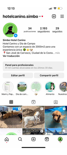 Hotel Canino Entrega Mínima Y Cuotas
