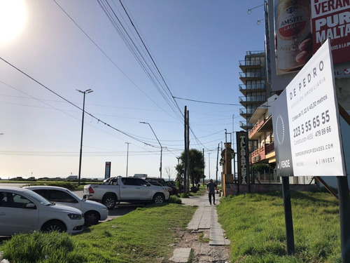 Imagen 8 de 14 de Alquiler - Espectacular Lote De 485m2 Sobre Av. Constitución