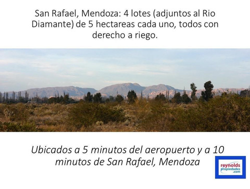 Imagen 1 de 13 de Lotes De 5 Ha En Venta - San Rafael- Mendoza
