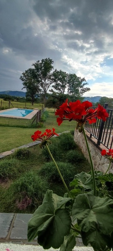 Imagen 19 de 28 de Casa Ideal Relax.